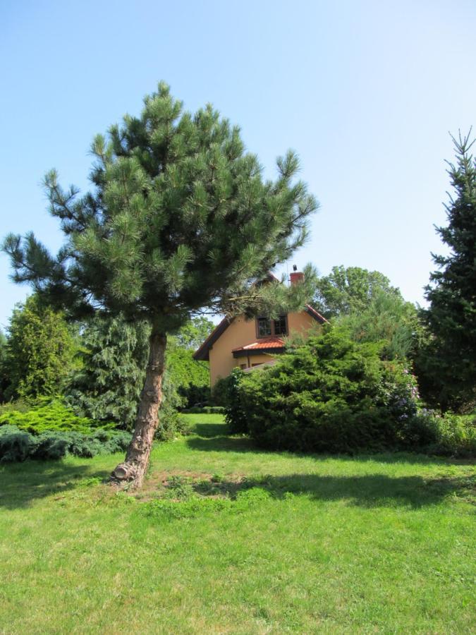 Vila Dom W Niechorzu Niechorze Exteriér fotografie