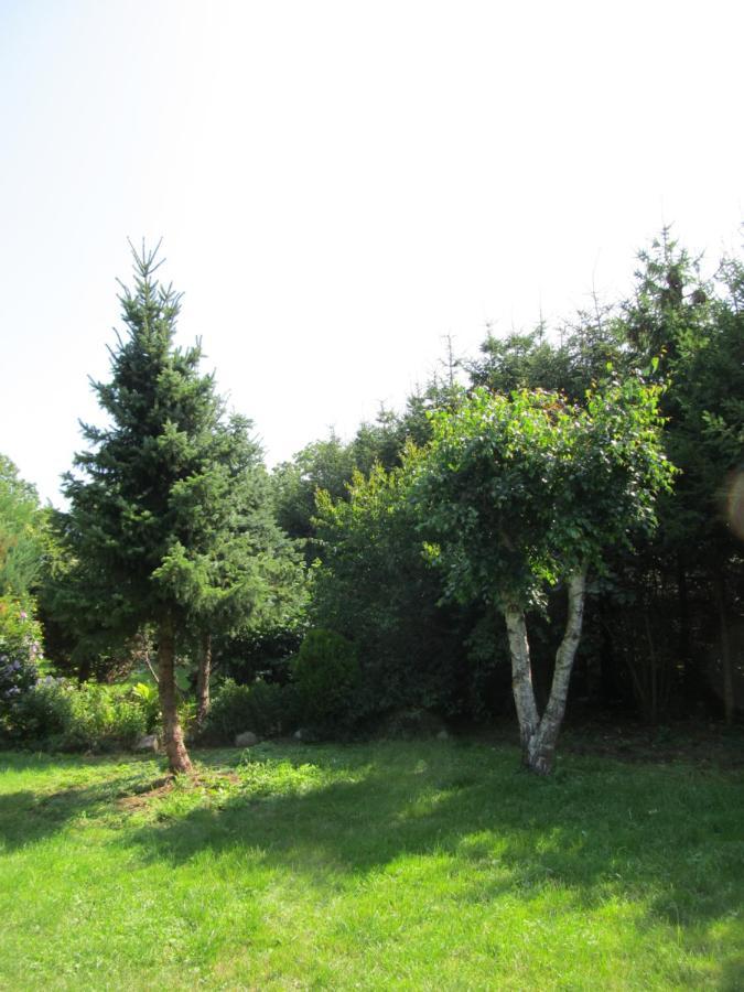Vila Dom W Niechorzu Niechorze Exteriér fotografie
